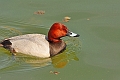 04 05 16_5509_edited-1